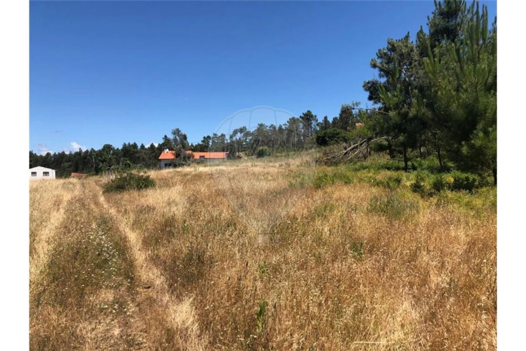 Terreno para Venda em Alhadas Foto 7
