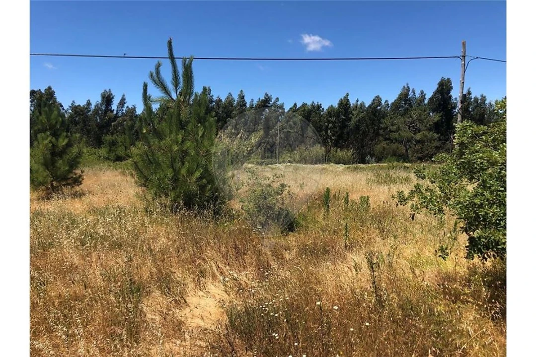 Terreno para Venda em Alhadas Foto 8