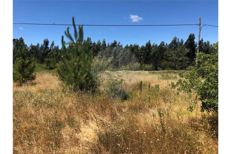 Terreno para Venda em Alhadas Foto 8