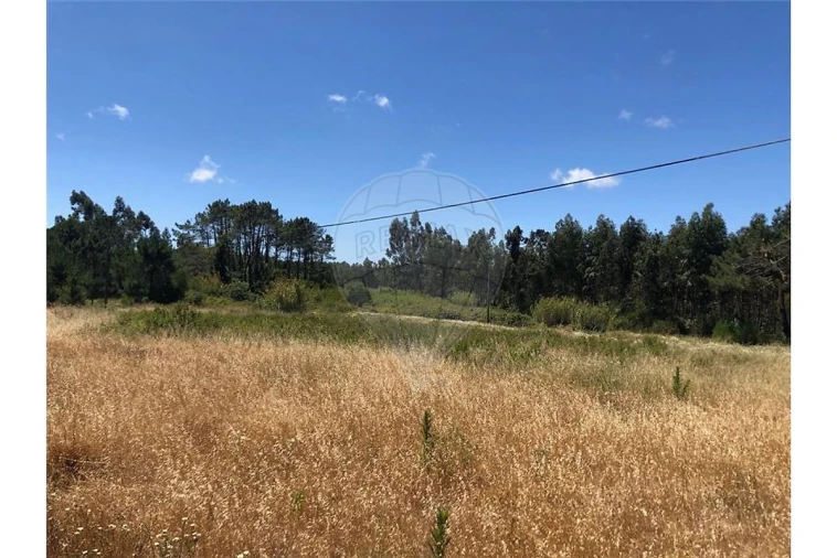 Terreno para Venda em Alhadas Foto 1