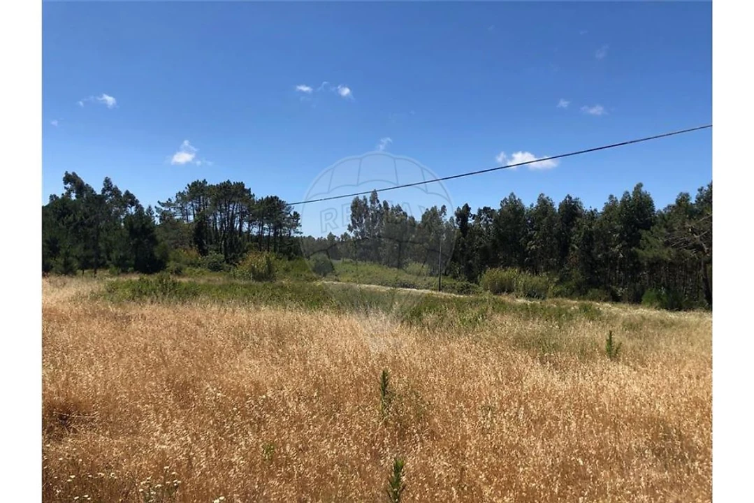 Terreno para Venda em Alhadas Foto 1