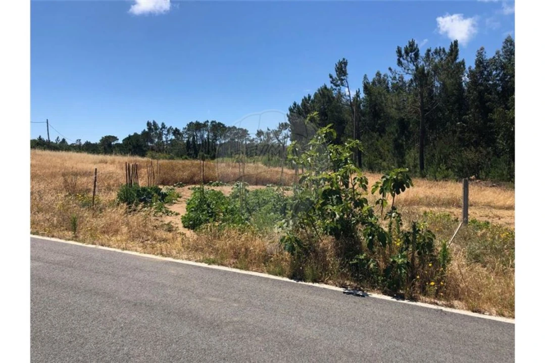 Terreno para Venda em Alhadas Foto 3