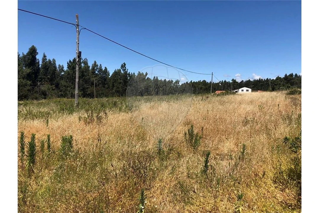 Terreno para Venda em Alhadas Foto 6