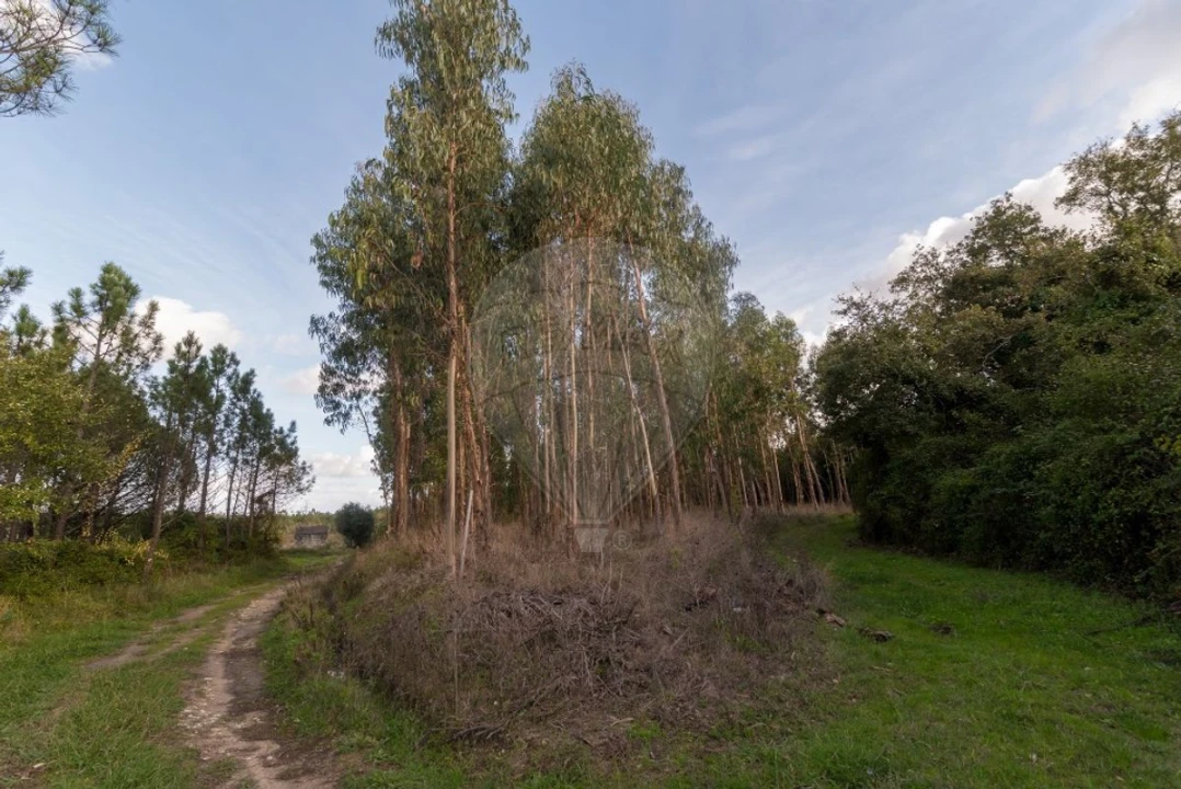 Terreno para Venda em Alhadas Foto 2