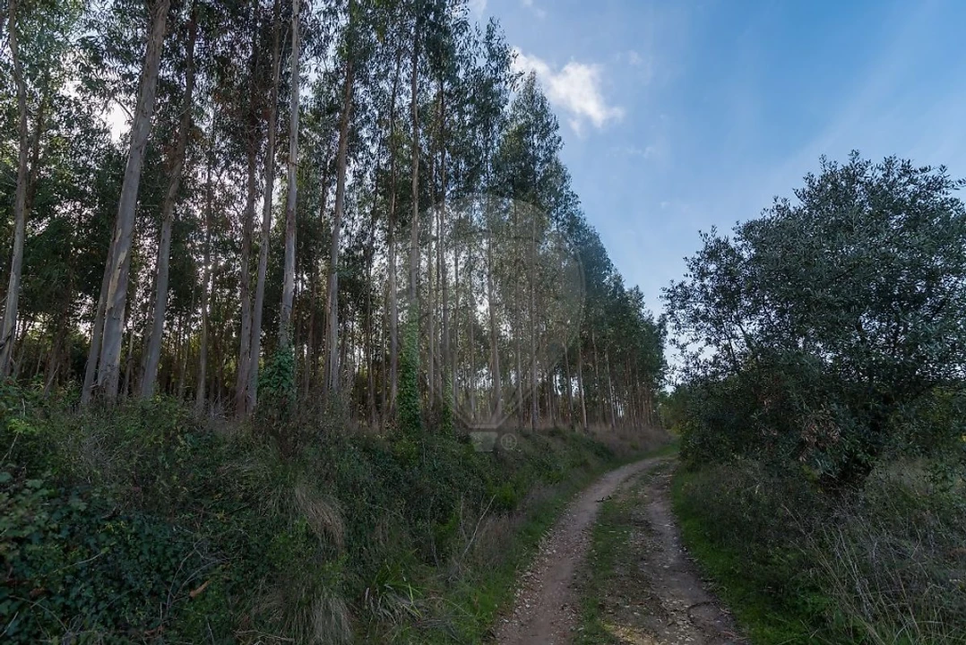 Terreno para Venda em Alhadas Foto 7