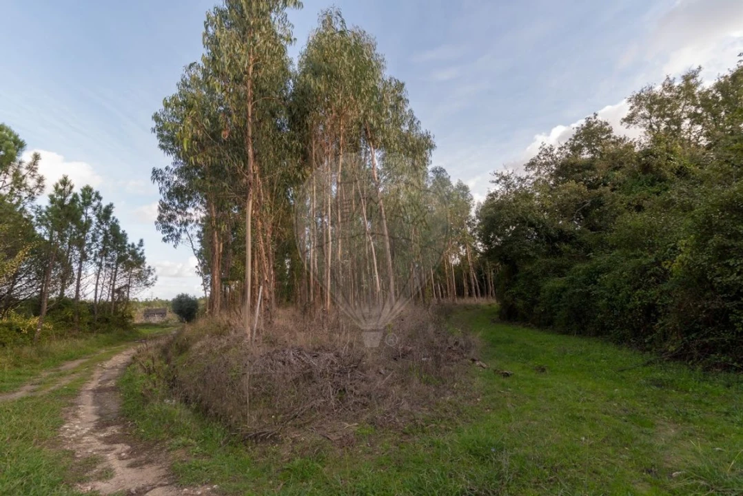 Terreno para Venda em Alhadas Foto 13