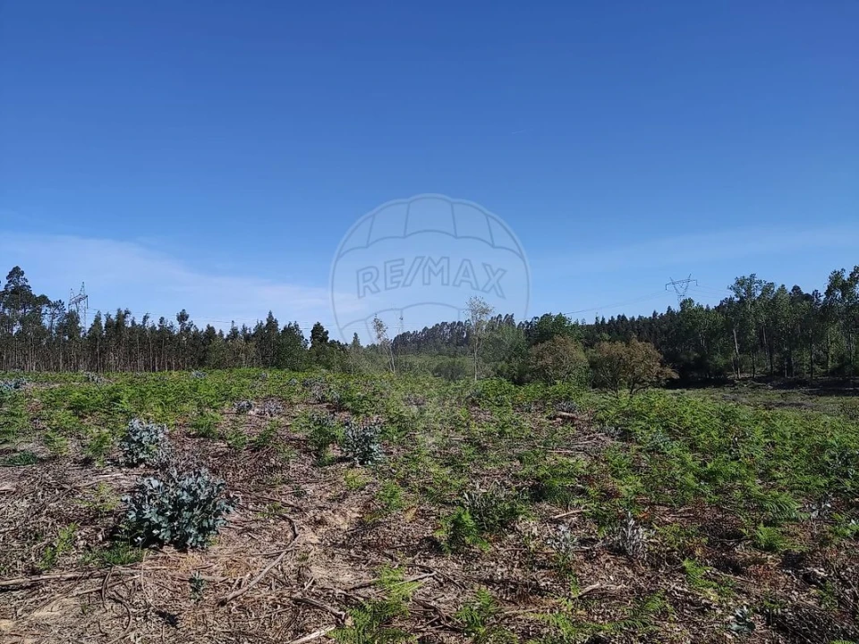 Terreno para Venda em Alhadas Foto 3
