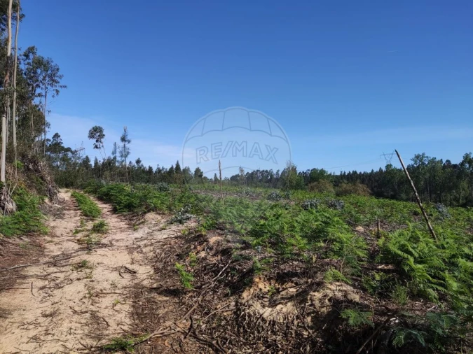 Terreno para Venda em Alhadas Foto 6