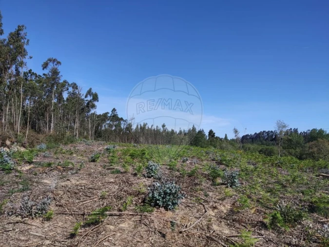 Terreno para Venda em Alhadas Foto 2