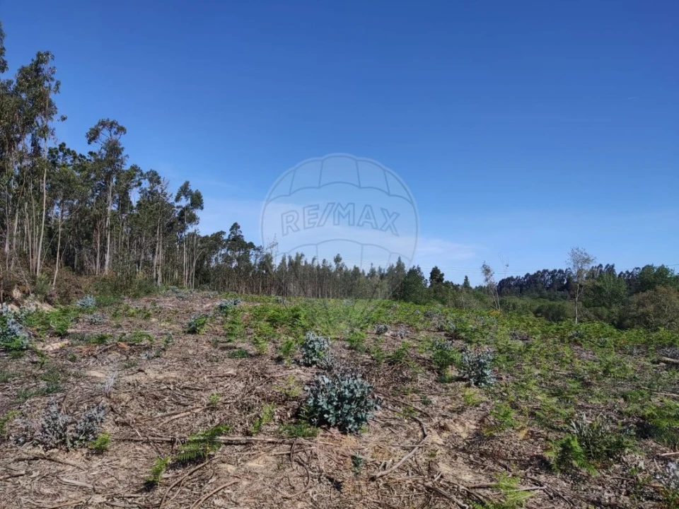 Terreno para Venda em Alhadas Foto 2