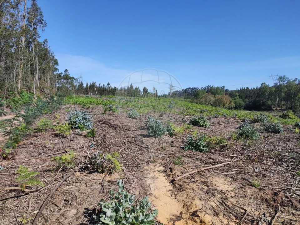 Terreno para Venda em Alhadas Foto 1