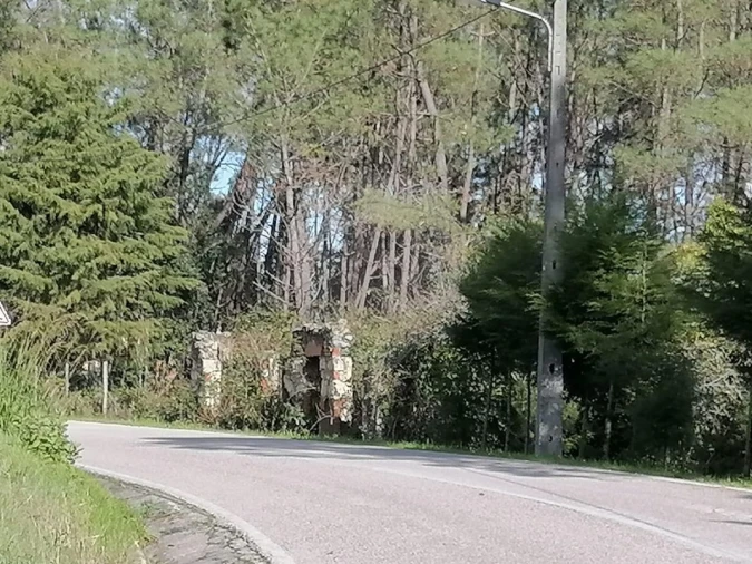 Terreno para Venda em Ferreira-A-Nova Foto 3