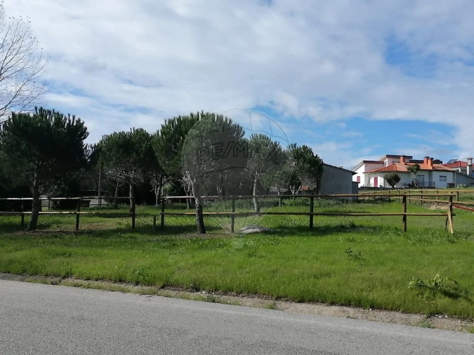 Terreno para Venda em Ferreira-A-Nova Foto 6