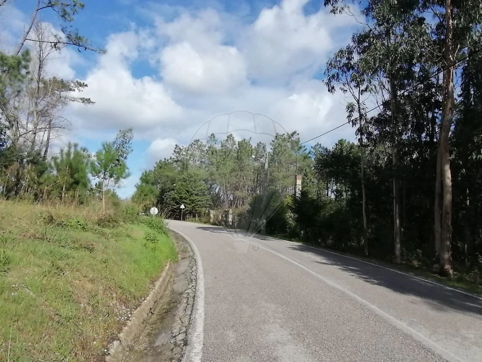 Terreno para Venda em Ferreira-A-Nova Foto 4