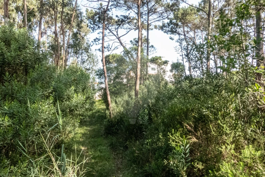Terreno para Venda em Tavarede Foto 11