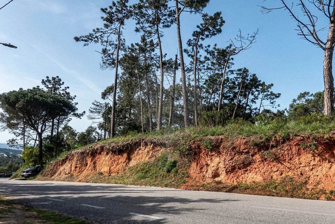 Terreno para Venda em Tavarede Foto 3