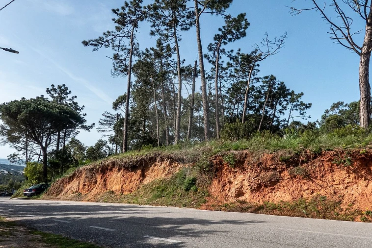 Terreno para Venda em Tavarede Foto 3