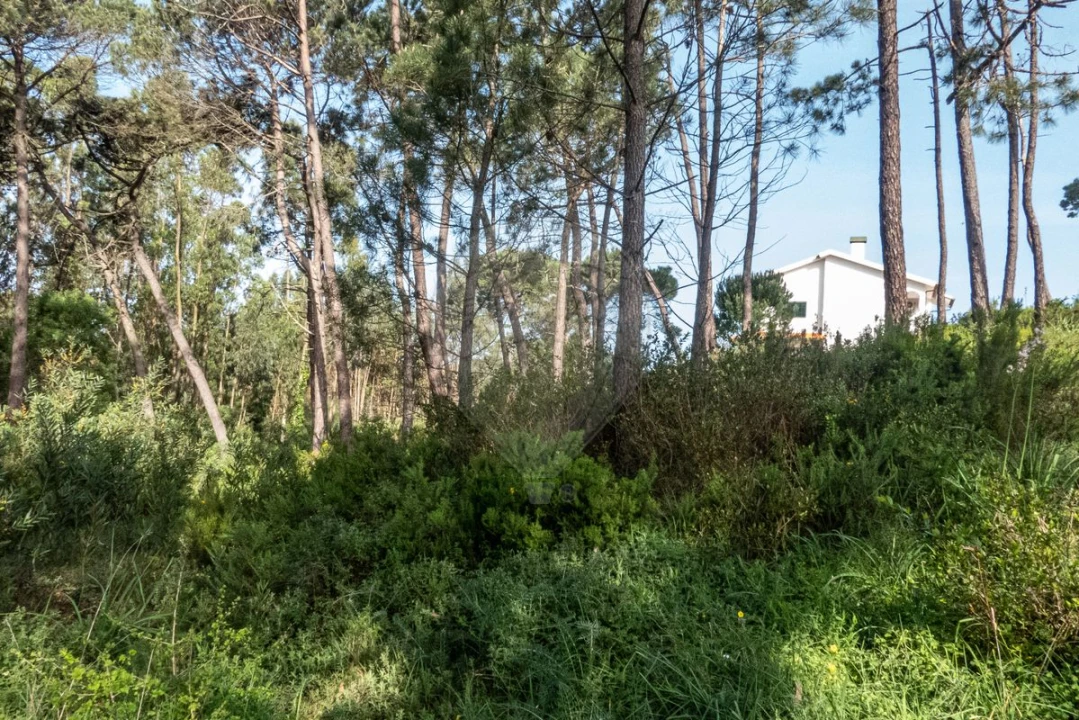 Terreno para Venda em Tavarede Foto 5