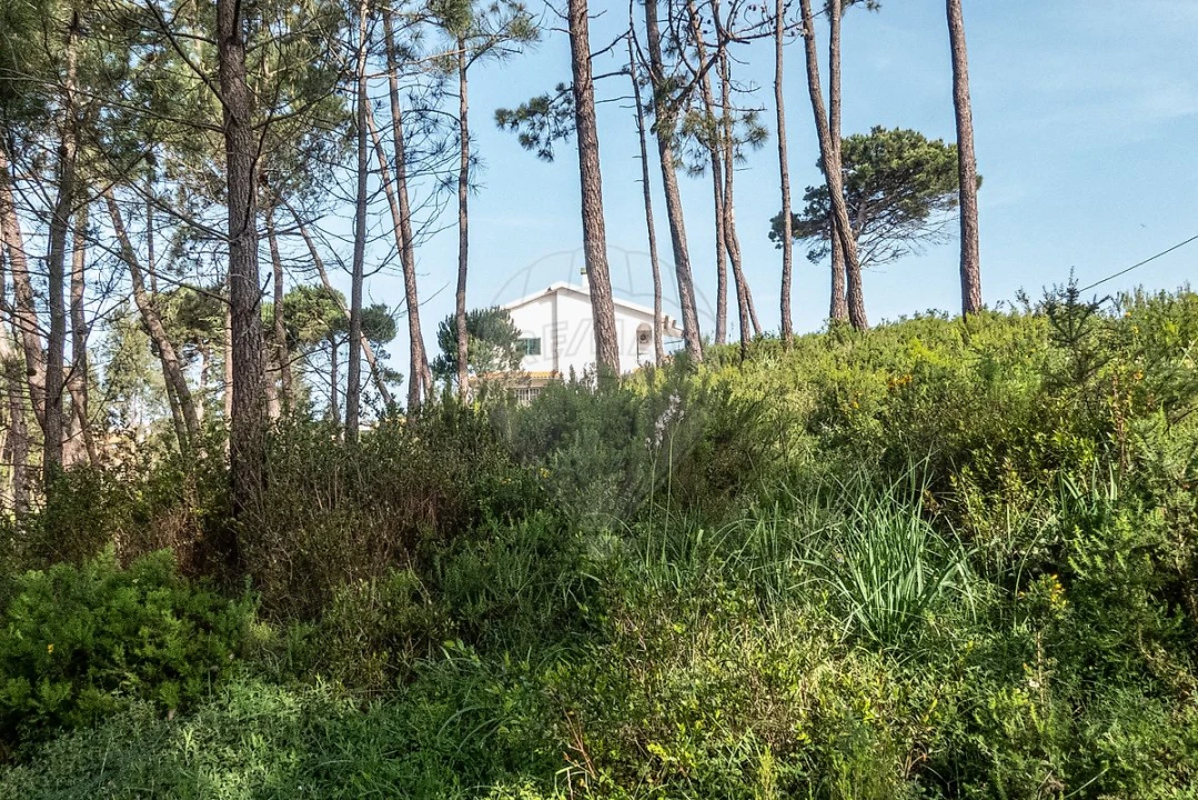 Terreno para Venda em Tavarede Foto 12
