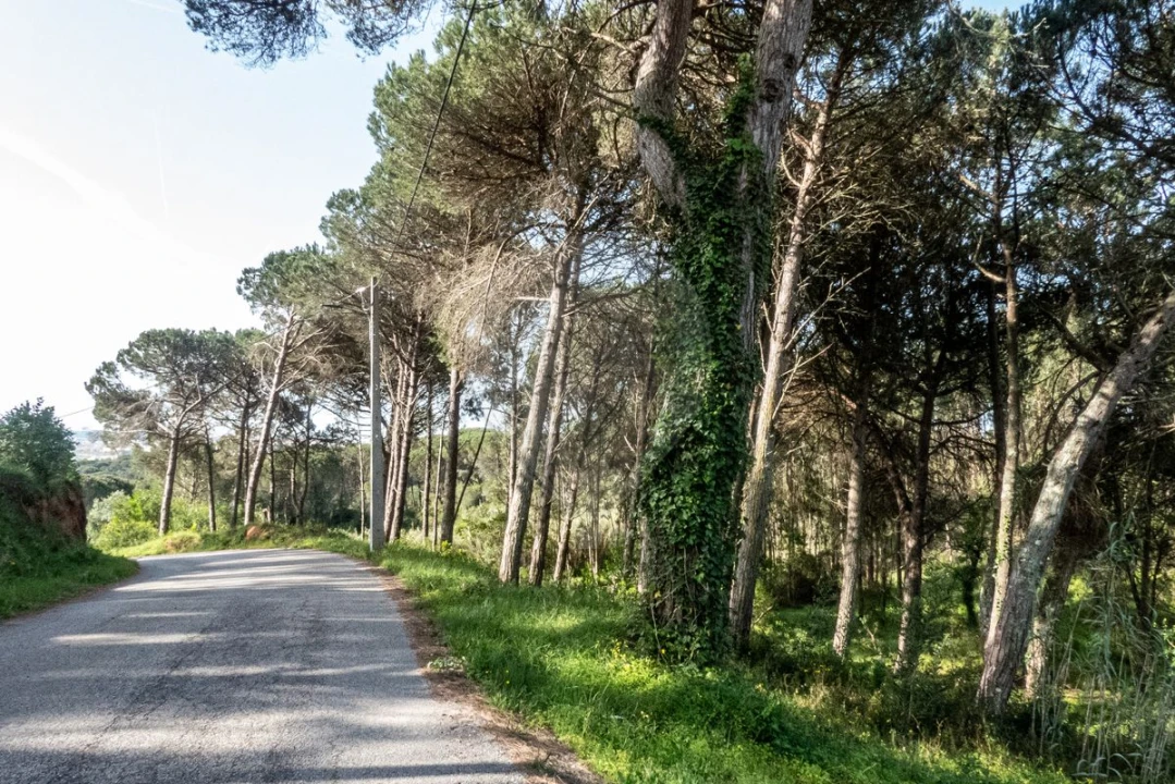 Terreno para Venda em Tavarede Foto 5