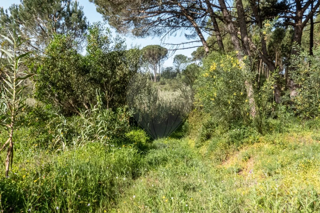 Terreno para Venda em Tavarede Foto 7