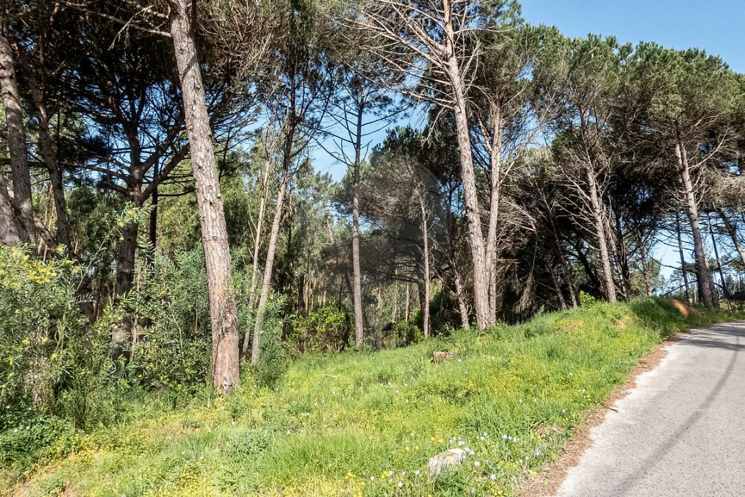 Terreno para Venda em Tavarede Foto 8