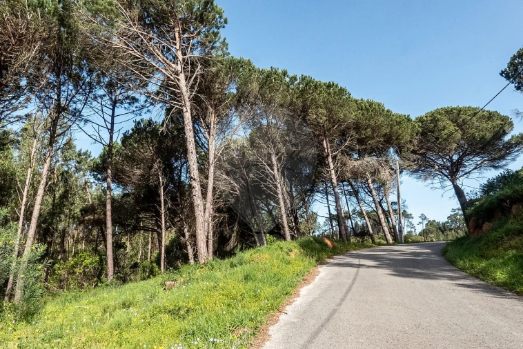 Terreno para Venda em Tavarede Foto 1