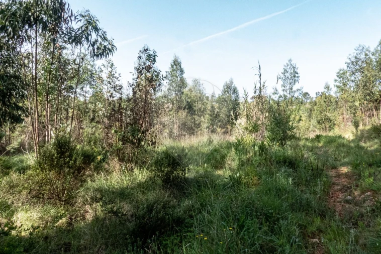 Terreno para Venda em Tavarede Foto 13