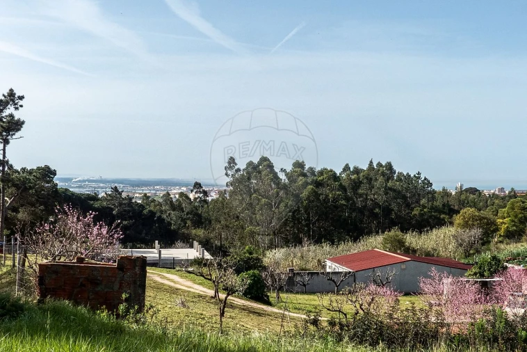 Terreno para Venda em Tavarede Foto 16
