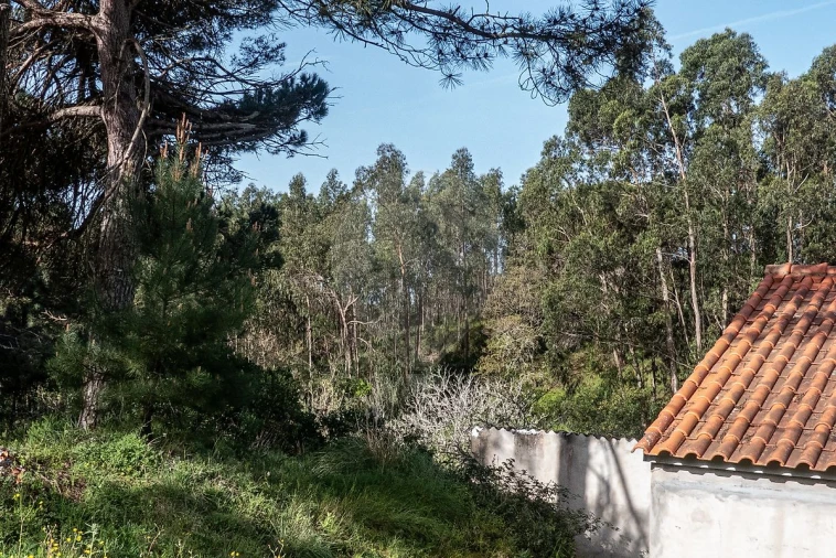 Terreno para Venda em Tavarede Foto 3