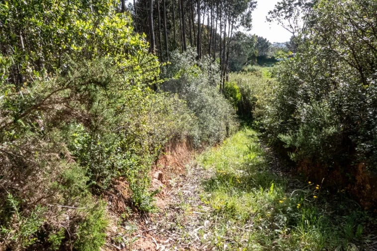 Terreno para Venda em Tavarede Foto 15