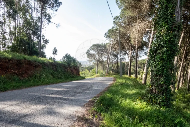Terreno para Venda em Tavarede Foto 6