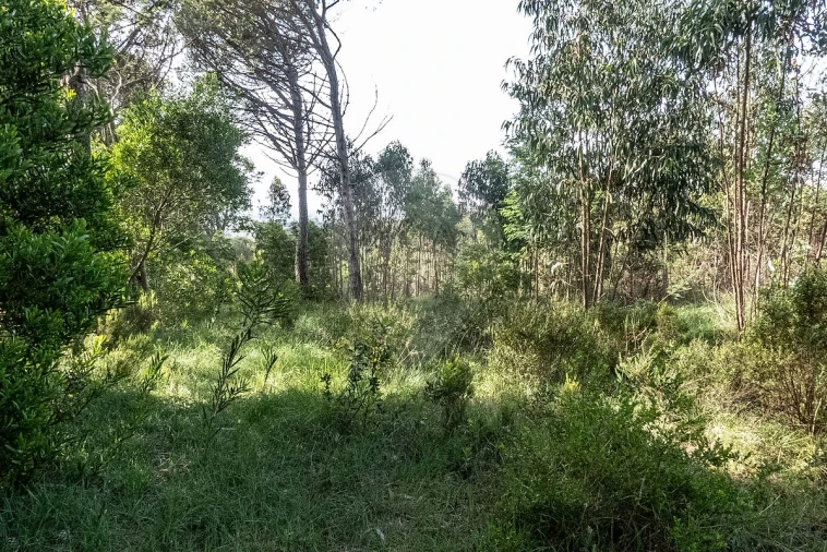 Terreno para Venda em Tavarede Foto 12