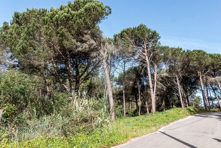 Terreno para Venda em Tavarede Foto 2
