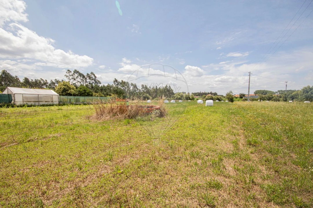 Terreno para Venda em Marinha das Ondas Foto 6