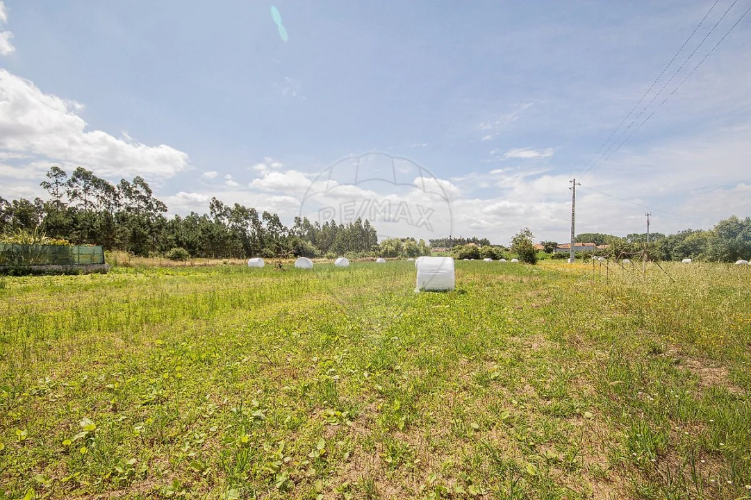 Terreno para Venda em Marinha das Ondas Foto 5
