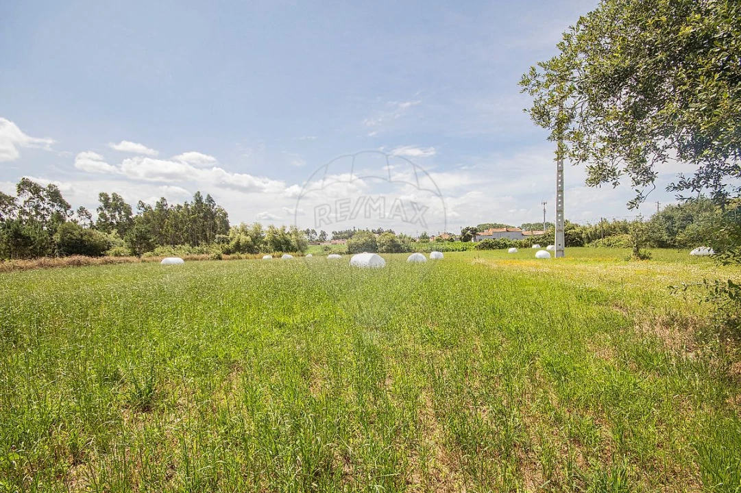 Terreno para Venda em Marinha das Ondas Foto 10