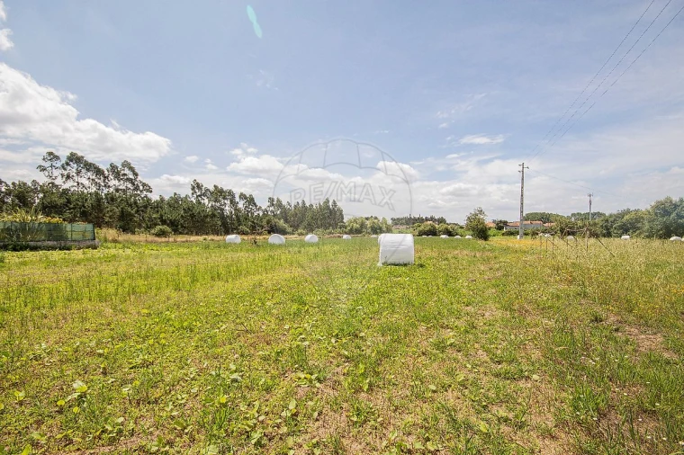 Terreno para Venda em Marinha das Ondas Foto 5