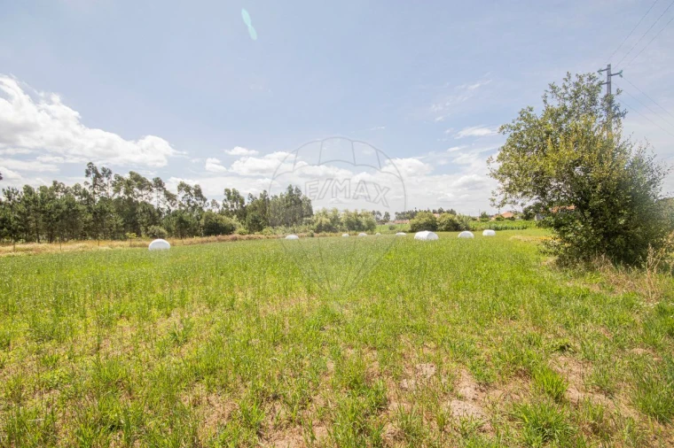 Terreno para Venda em Marinha das Ondas Foto 8