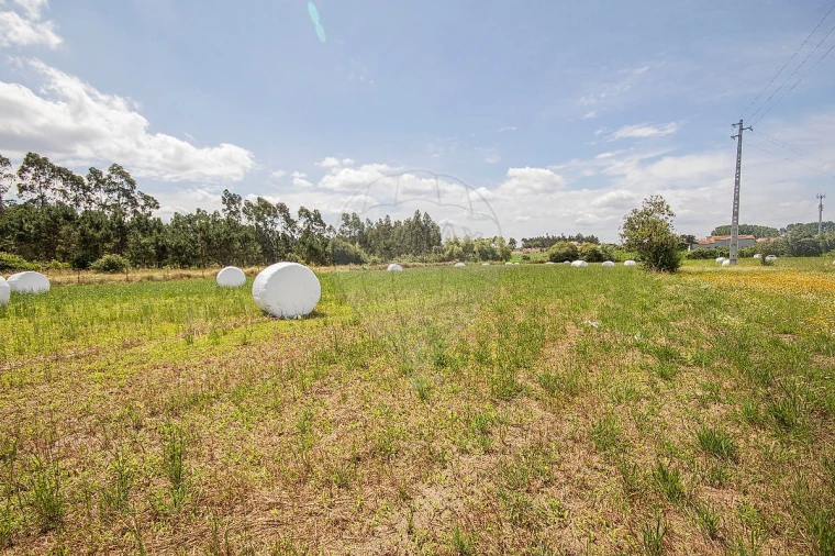 Terreno para Venda em Marinha das Ondas Foto 7