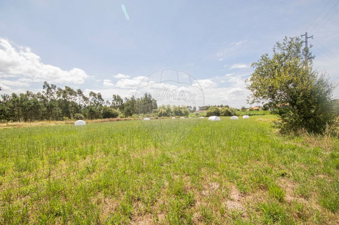 Terreno para Venda em Marinha das Ondas Foto 8