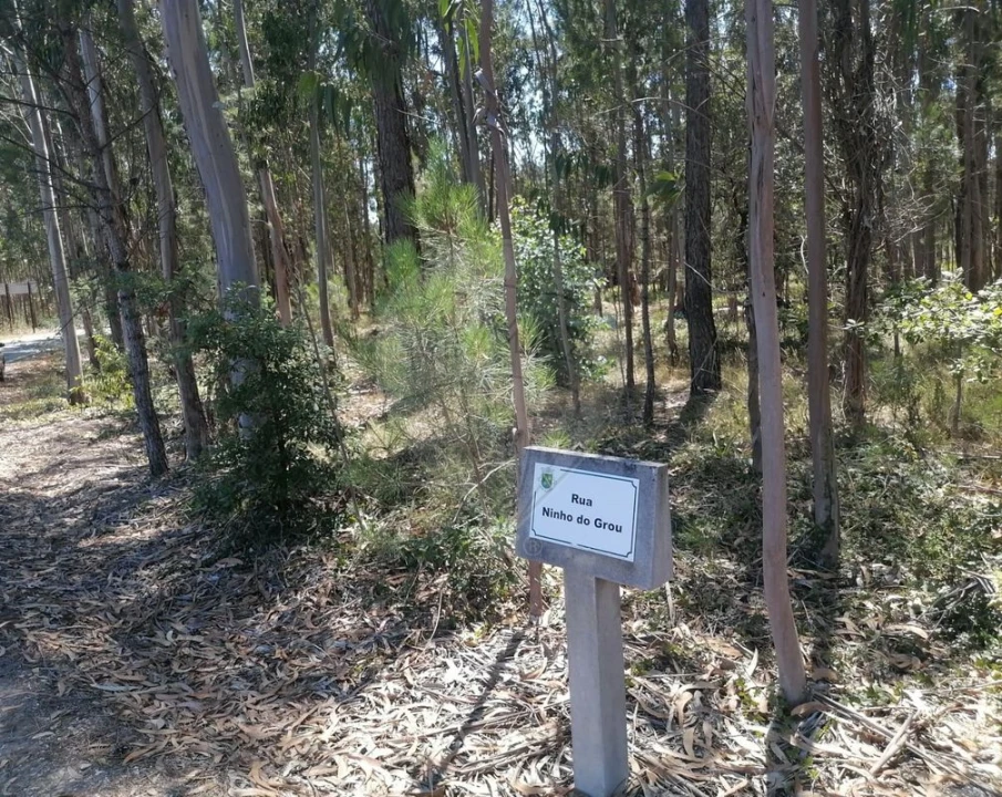 Terreno para Venda em Seixo de Gatões Foto 5