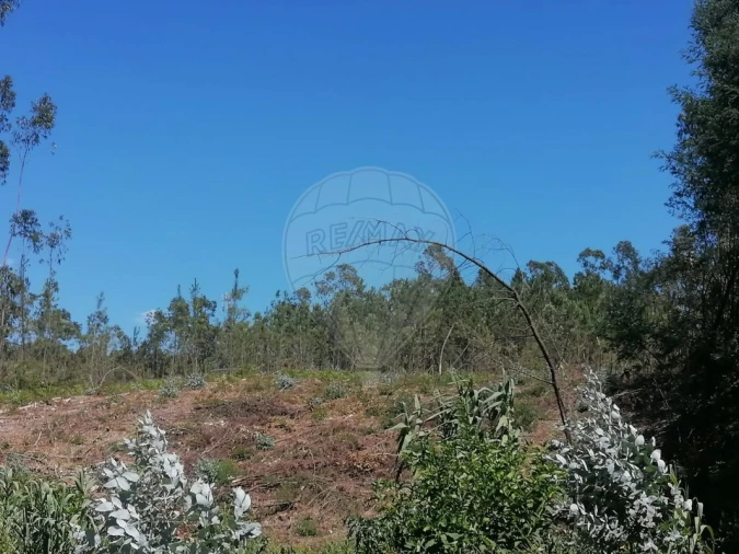 Terreno para Venda em Seixo de Gatões Foto 1