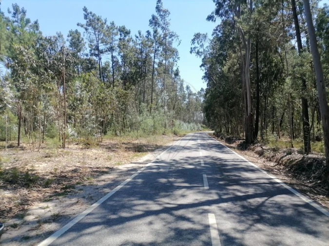 Terreno para Venda em Seixo de Gatões Foto 11