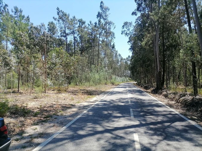 Terreno para Venda em Seixo de Gatões Foto 12