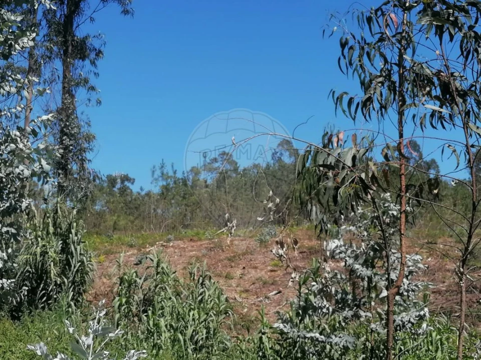 Terreno para Venda em Seixo de Gatões Foto 16