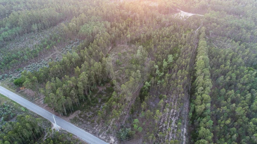 Terreno para Venda em Moinhos de Gandara Foto 3