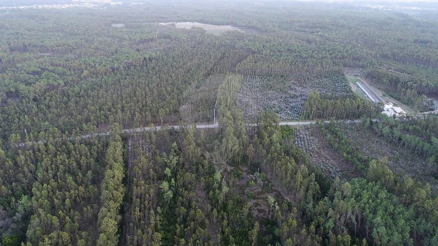 Terreno para Venda em Moinhos de Gandara Foto 4