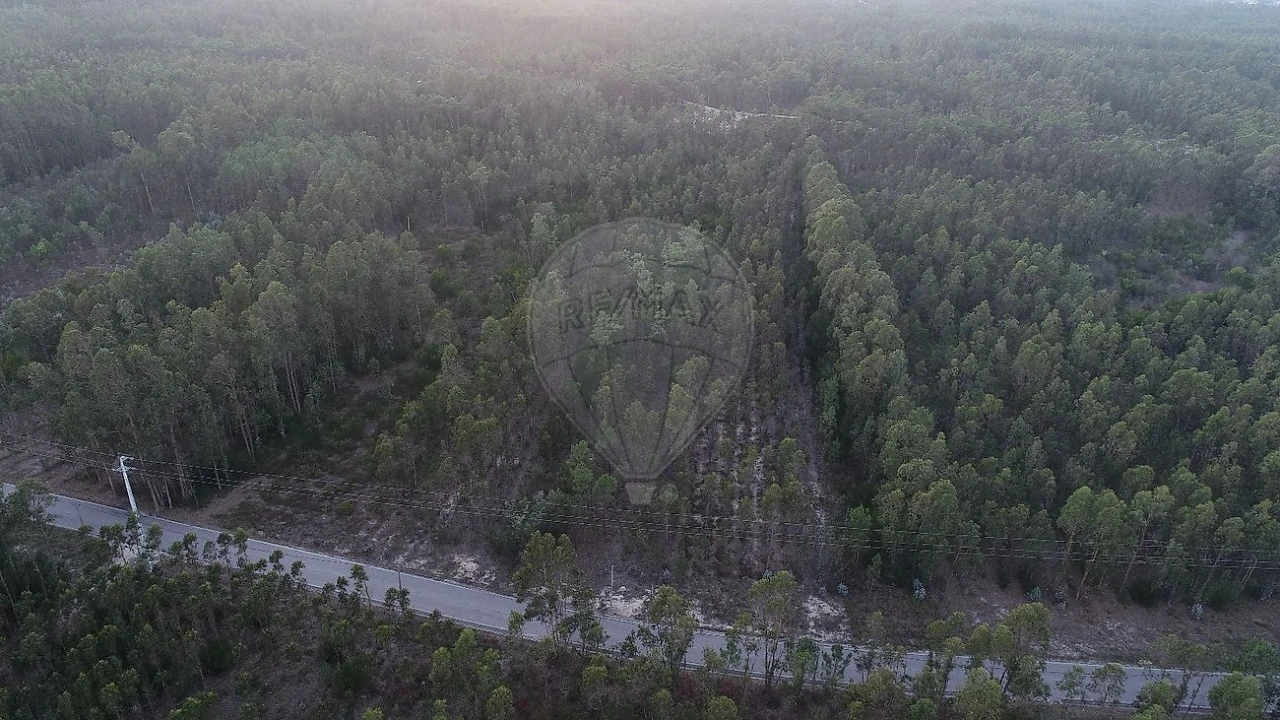 Terreno para Venda em Moinhos de Gandara Foto 1
