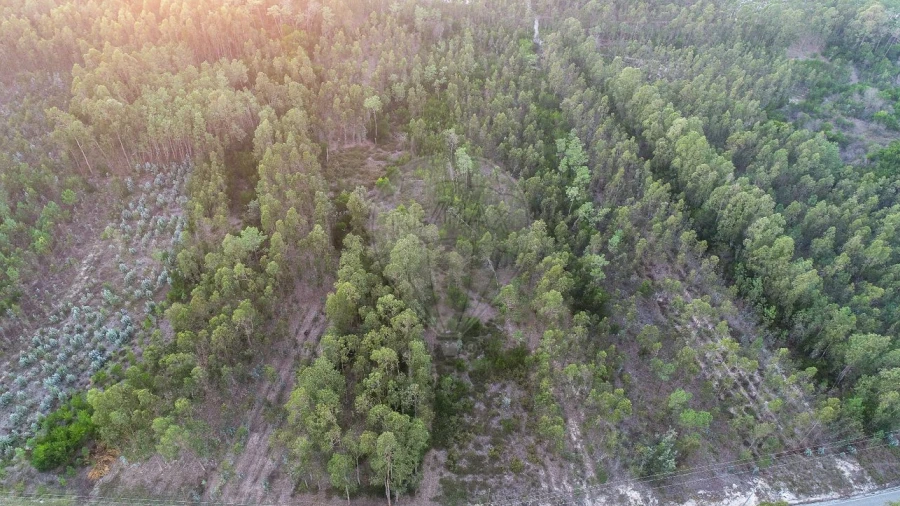 Terreno para Venda em Moinhos de Gandara